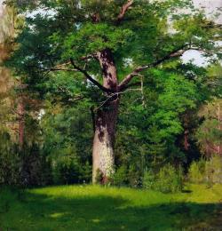 baronvonmerkens:  Isaak Levitan - Oak Tree, 1880 