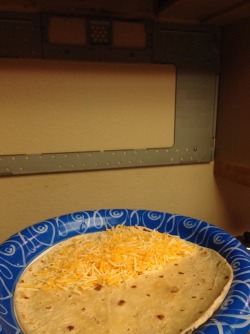 bluebomberblaster:  vvhaleshark:  I come home from a six hour drive from Los Angeles back to my house and im fuckin hungry so im gonna make a quesadilla right and i sprinkle the fucking cheese on the tortilla right and i put it in the microwave except