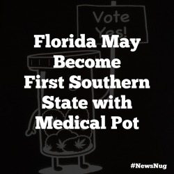 buddhagrass:  the-maddabber:  coffeepotsmokin:  coralreefer420:  Florida May Become First Southern State to Allow Medical Pot http://www.governing.com/topics/elections/gov-florida-could-become-first-southern-state-to-allow-medical-marijuana.html #newsnug