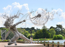 lovely-corinne:  kaneki-kenkin:  mymodernmet:  UK-based artist Robin Wight uses stainless steel wire to form stunning, dynamic sculptures of winged fairies dancing in the wind.  They look like beautiful warriors of the earth   This is awesome! :) 