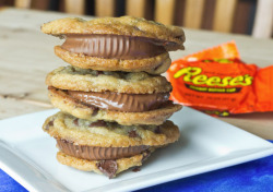  Reese’s Peanut Butter Cup Sandwich Cookies 