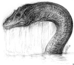 Ogopogo or Naitaka (Salish: n'ha-a-itk, &ldquo;lake demon&rdquo;) is the name given to a cryptid lake monster reported to live in Okanagan Lake, in British Columbia, Canada. Ogopogo has been allegedly seen by First Nations people since the 19th century.