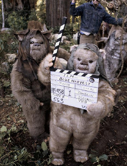 fuckyeahbehindthescenes:  Return of the Jedi was disguised as a horror film called “Blue Harvest” while filming so that fans wouldn’t disrupt shooting. Star Wars: Return of the Jedi (1983)