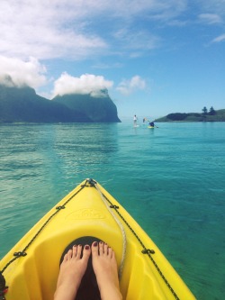 loveme-extra:  Kayaking, Lord Howe Island