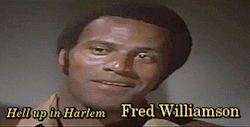 el-mago-de-guapos: Fred Williamson Hell Up in Harlem (1973) 