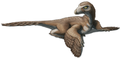 alphynix:  X is for Xixiasaurus  Xixiasaurus henanensis (pronounced “shee-shah-saurus&quot;) was a troodontid from the Late Cretaceous of China, about 83 million years ago. Its size is difficult to estimate, based only on the front portion of a skull,