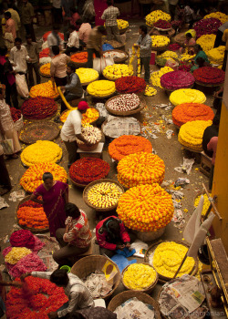 schisms: Flower market, Bangalore, Karnataka, India. Photo by Sunil Subramanian. 