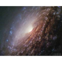In the Center of Spiral Galaxy NGC 5033 #nasa #apod #esa #mast #hubble #spacetelescope #hubblespacetelescope #ngc5033 #seyfertgalaxy #spiralgalaxy #galaxy  #stars #dust #interstellar #gas #supermassiveblackhole #blackhole #intergalactic #universe #space