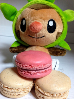 zombiemiki:  Don’t get between a Chespin and his macarons 