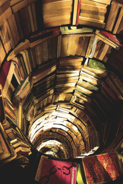 bubbleant:  Let’s fall down the rabbit hole.  Especially if it is filled with books!