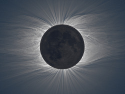 zombiekookie:  fuckyeahspace:  notthatindie:  Composite image of the sun’s corona, taken during the total solar eclipse last July. Via Scientific American  This is spectacular. The corona is absolutely beautiful, visually as well as scientifically.