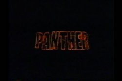 Panther (1995) 