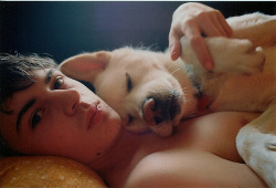 broforbro:  gefallenengel:  selbstfindung:  i-was-half-a-virgin:  barntnnn:sky-blue-sky(via emma louise.)    cute guy, dog so cute I could cry, cute guy holding cute dog…  Oh my.