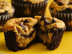 shannizzlegee:  cupcakesoftheday:  INGREDIENTS 1 1/2 cups Pillsbury BEST® All Purpose Flour 1/3 cup Hershey’s® baking cocoa 1 cup packed brown sugar 1 teaspoon baking soda &frac14; teaspoon salt 1/3 cup Crisco® Pure Vegetable Oil 1 cup water 1 tablespoon