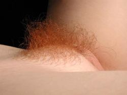 no-panty:  scooph:  coven13:  Tag example for a close-up photograph of a yoni and a certain pubic hair style. Naturally, all such images are also tagged as faceless. Image via 2picaday  (via bouba)