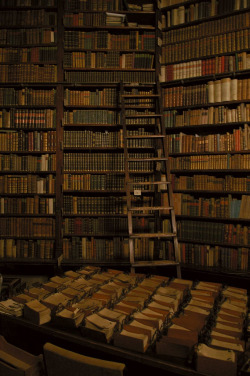 bubbleant:  dreamscometruegirl:  bubbleant:  ralavick:  unicornbooger:  *o*  (via misswallflower) beautiful  This is the library my husband (Luis) and I, will have someday.   This is the library I will be stealing from Luis and his future spouse, even