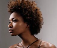 Afro hair wigs for black women