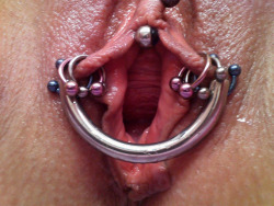 pussymodsgalore  VCH piercing, inner labia piercings and spreader bar to keep everything open. 