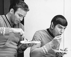 randydave69:  randydave69:  frighten:  My bb’s.  Paper plates on the Enterprise? Hard to believe!  Happy Thanksgiving Trekkies!