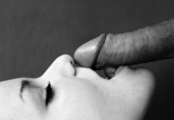 labrujita:  He moaned and slid his cock over her chin up to her lips. She kissed  the head, and as he pushed it up to press against her nose, she licked  and sucked that sensitive spot just under his cockhead. He pulled his  cock back down over her chin