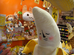 unifawn:  deerchan:  I WANT A GIANT BANAO PLUSH   Is this Apex heaven? &lt;33  Fawn, why are you so gosh dang adorable!!  :D