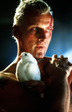 anotherword:  Rutger Hauer as Roy Batty in Blade Runner. gorg:  Piccsy :: Image Bookmarking :: time to die  