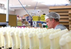   Just another day at the dildo factory.  Jobs that you forget actually exist. 