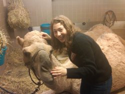 allthingsreginaspektor:  At Radio City after the Christmas Spectacular in December 2010… All the camels in the show are rescued from very cruelty, and spend much of their time year round on a farm being happy. The people taking care of them were awesome.