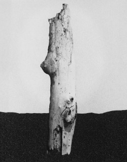 Stick photo by Peter Campus, 1991
