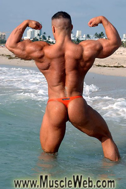 intomusclestuff:  &ldquo;Hey bro. Betcha can’t keep your hands off ur dik looking at these big biceps and my juicy ass!&rdquo;