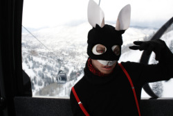 Ski Bunny Brer Rabbit - Aspen, Colorado - Jan 2011