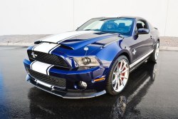riderfour:  Ford Shelby GT 500