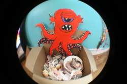 abraham made the octopus *: my brother gave me the shells (: