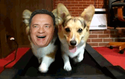 Tom Hanks Is a Bunch of Animals
