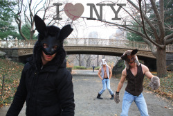 I &lt;3 NY Central Park Hares - NYC 2010 - Alexander Guerra 