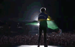  Dizem que os fãs brasileiros são os mais histéricos. É fato! Os brasileiros são guerreiros e quando conseguem o que tanto batalharam para conseguir, eles simplesmente enlouquecem. É isso que acontece nos shows. Nós vamos nos shows e ficamos absurdamente