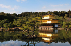 cu-rtism:  Kinkakuji Temple (by miuYH) 