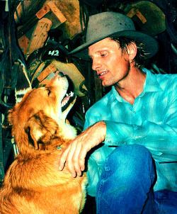 bohemea:  specialhell:  Gasp! Bohemea! Let’s pretend this is a picture of Viggo and Chester!  I bet Viggo &amp; Chester would get along swimmingly! Viggo would probably kneel down to Chester’s level, speak to him in a gentle voice &amp; tell him