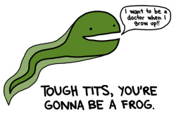 spookysden:  leavethewoods:  WHY AM I LAUGHING SO HARD  Though tits, you’re gonna be a frog. 