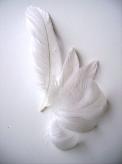 We are each of us angels with only one wing, and we can only fly by embracing one another.  ~Luciano de Crescenzo