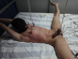 kiltie:  texboylikesit:  Softening him up for later use  what does “unbearable pain” mean when you are as helpless as this? 