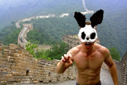 Panda Rabbit - Great Wall of China - China 2011 - Alexander Guerra