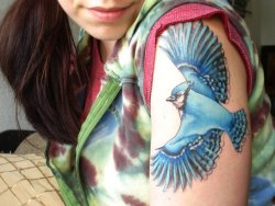 fuckyeahtattoos:  I have always loved birds, but never owned one because I believe its cruel to keep them in cages. Now with my Bluejay tattoo, I have one with me all the time. The Bluejay reminds me of the wild world beyond the city I live in, where