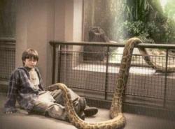   “Yes, it’s rather funny, really, that next to no one realized the snake that Harry set free in Philosopher’s Stone turned out to be Voldemort’s final Horcrux, Nagini.”—JK Rowling  