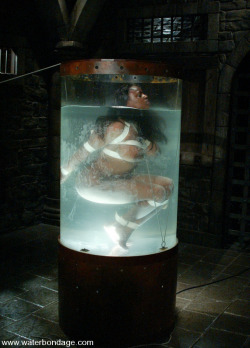 Ebony chick playing in a watertank.