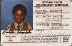  YOUNG MIKE