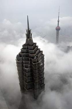 jianchen1230:  jin mao tower and shanghai tv tower by Gaellery on Flickr. 云端 
