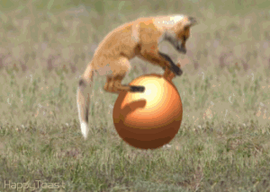 Bounce rate for Firefox