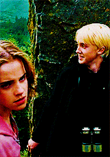 phillipsgallagher-deactivated20:  Hermione, the girl that hit the boys. 