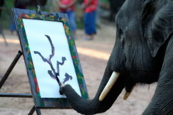 what-is-this-i-dont-even:  Elephant is more artistic than I am. I give up. I’m done. 